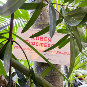 Куди піти у Києві 8–9 листопада: афіша для тих, хто втомився від шуму