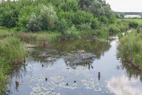 На Київщині відновлять обмілілу річку Рось: що планують зробити