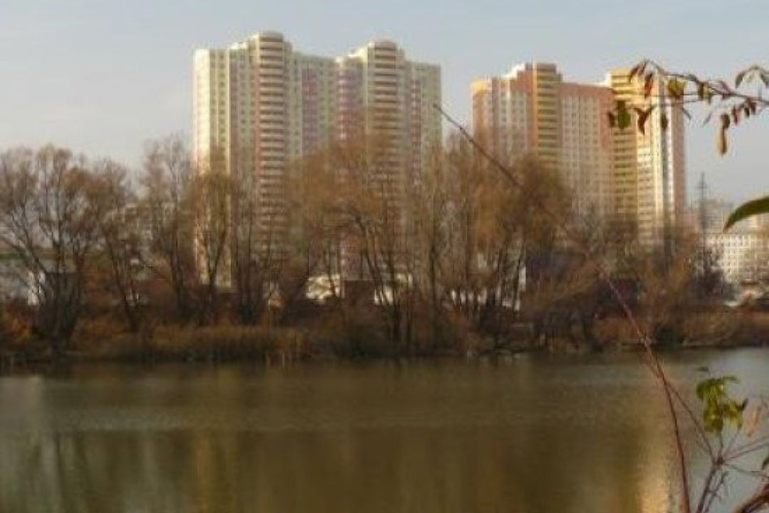 В Оболонському районі рятують від забруднення озеро Мінське, у якому загинула риба