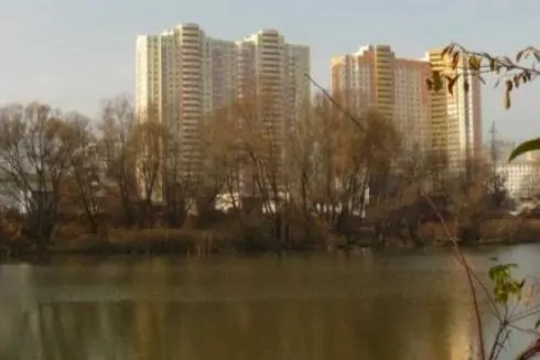 В Оболонському районі рятують від забруднення озеро Мінське, у якому загинула риба