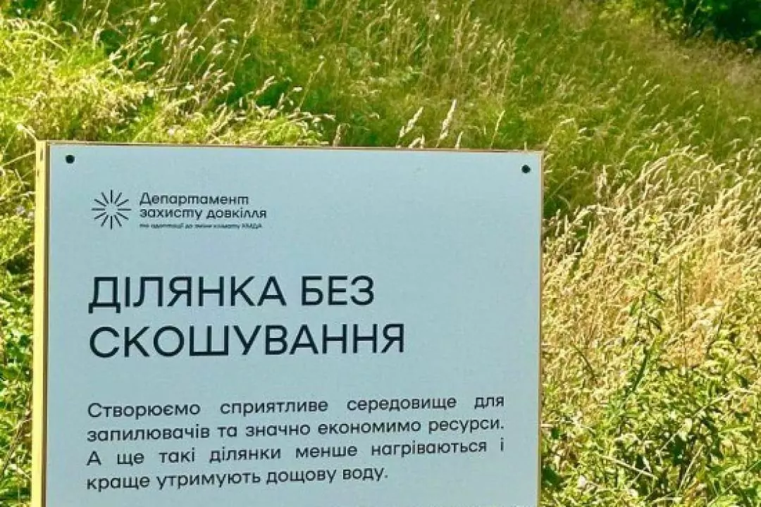 Наступного року в Києві збільшать кількість ділянок без скошування трави
