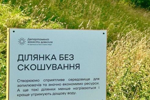 Наступного року в Києві збільшать кількість ділянок без скошування трави