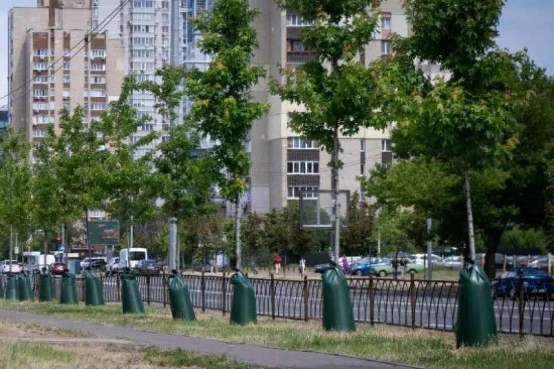У Києві з&rsquo;явився сайт з екоініціативами міста: від дощових садів до торб для поливу дерев