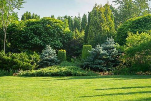 На Київщині хочуть облаштувати новий ландшафтний парк