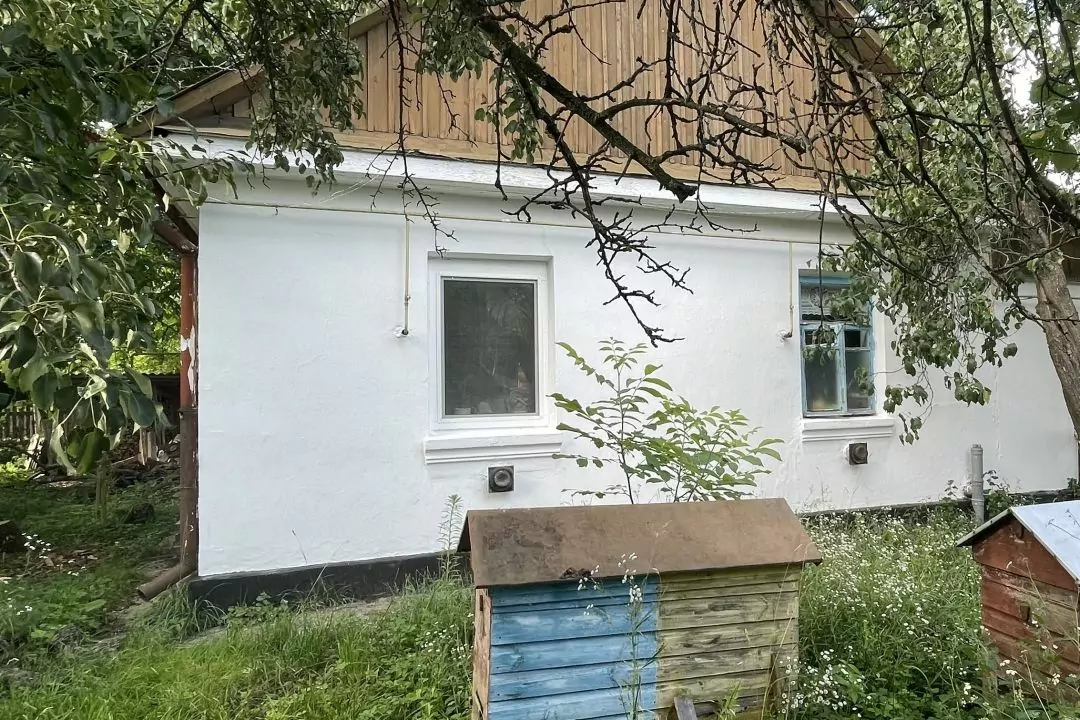 Як пара з Ірпеня відновлює 70-річну хату в селі на Хмельниччині