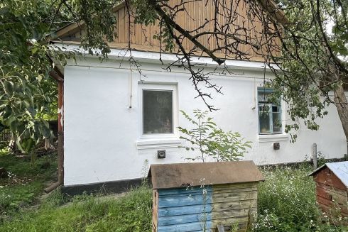 Дневник сельского хюге: как пара из Ирпеня восстанавливает 70-летнюю хату в селе в Хмельницкой области