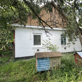 Дневник сельского хюге: как пара из Ирпеня восстанавливает 70-летнюю хату в селе в Хмельницкой области