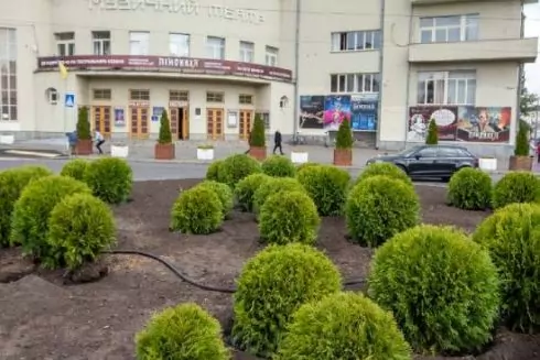 У Куренівському парку та на Контрактовій площі висадили дерева та кущі