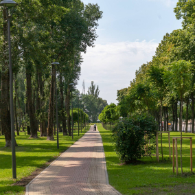 В яких парках Києва вже безпечно гуляти: перелік