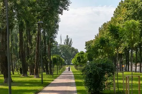 В яких парках Києва вже безпечно гуляти: перелік