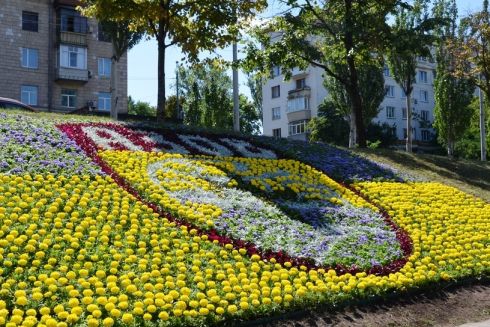 Фото. На Печерську висадили квіткове панно, присвячене полку «Азов»