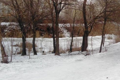 У Дарницькому районі облаштують сквер біля озера