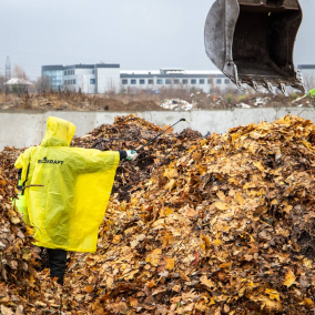 В Киеве начали перерабатывать опавшую листву на удобрение: фото