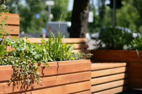 У Києві вже встановили 10 парклетів з озелененням: для чого їх облаштовують