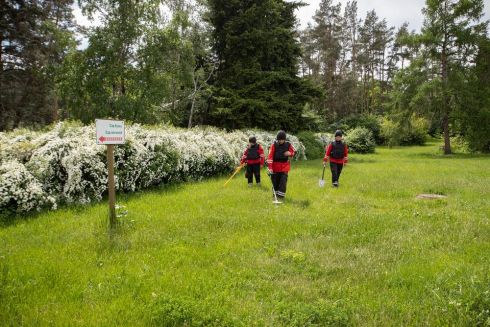 Пиротехники начали обследовать ботсад Гришко: работы будут продолжаться около двух недель