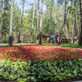 Пиротехники обследовали все парки и скверы в Киеве. Есть несколько зон, которые нельзя посещать