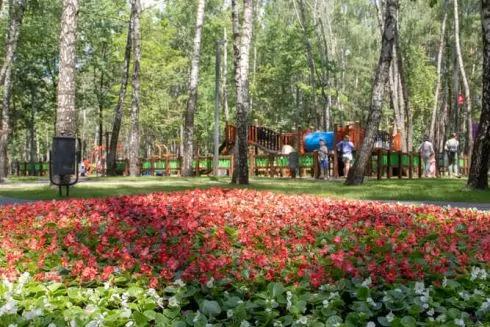 Пиротехники обследовали все парки и скверы в Киеве. Есть несколько зон, которые нельзя посещать