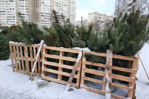 В Киеве с 15 декабря заработают елочные ярмарки