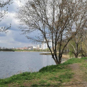 У Києві створять три реабілітаційні парки