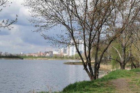 В Киеве создадут три реабилитационных парка