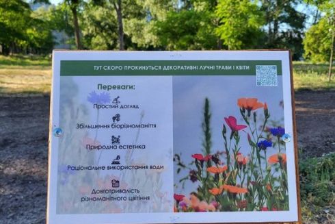 У Києві засіяли декоративними луками 25 експериментальних ділянок: де саме