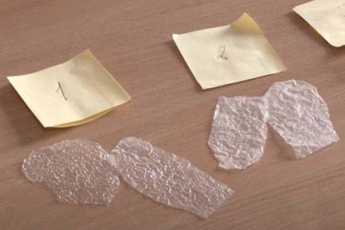 Школьник из Днепра изобрел альтернативу полиэтилену для биоразлагаемых пакетов