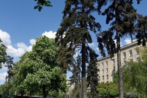 На Шулявці демонтували близько 30 МАФів. Замість них облаштують сквер