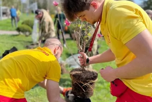 На Трухановому острові висадили магнолії
