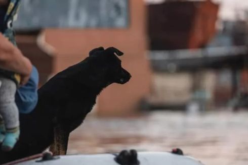 Как бесплатно отправить помощь пострадавшим из-за подрыва Каховской ГЭС