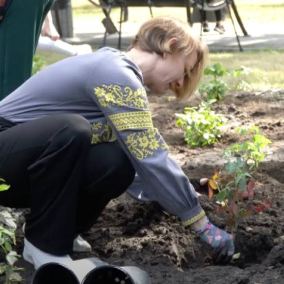 У Дніпрі переселенці з Бахмута висадили алею троянд