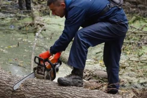 На Дарниці комунальники провели толоку і очистили річку Зариваха