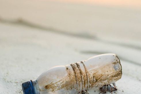 Екологи навчили мікробів їсти пластик