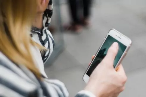 В Украине появился эко-бот для жалобы на вырубку лесов и загрязнение природы