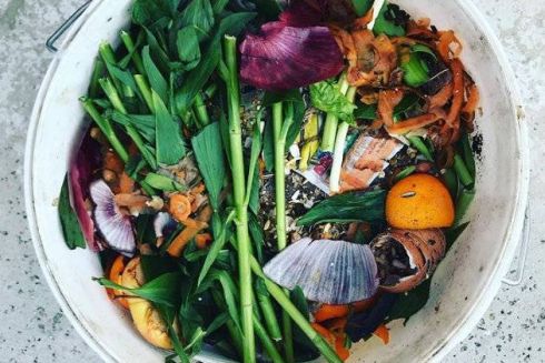 Как компостировать мусор в квартире: лайфхаки киевлянок