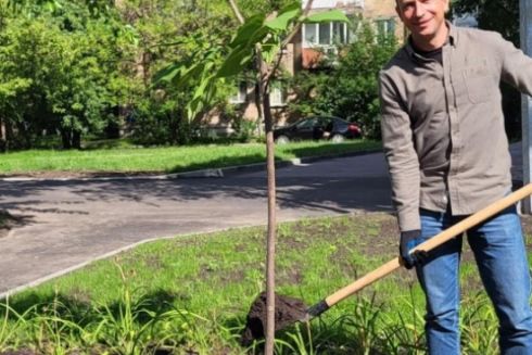 В сквере возле «Берестейской» высадили аллею катальп