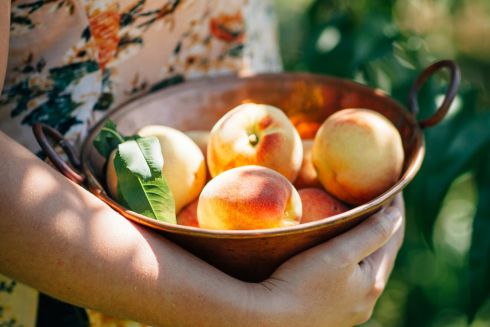Що готувати з персиками та нектаринами: 7 рецептів, які вас здивують