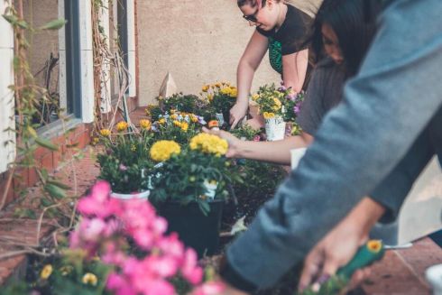 Украинцы могут принять участие в конкурсе и выиграть обустройство городского сада