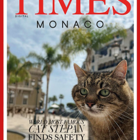 Фото: Кот Степан оказался на обложке Times Monaco
