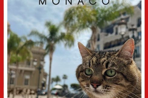 Фото: Кіт Степан опинився на обкладинці Times Monaco