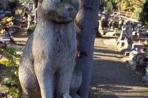 На Троещине может появиться официальное кладбище для домашних животных