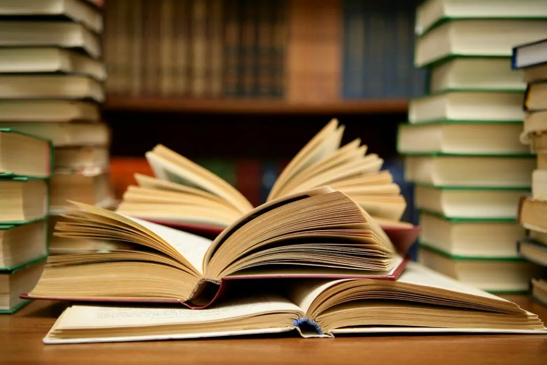 За год войны спрос на украинские книги за границей вырос вдвое: кого читают иностранцы