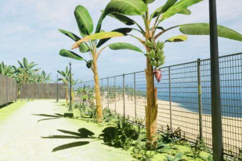 Українська студія розробила гру про прибирання пляжів