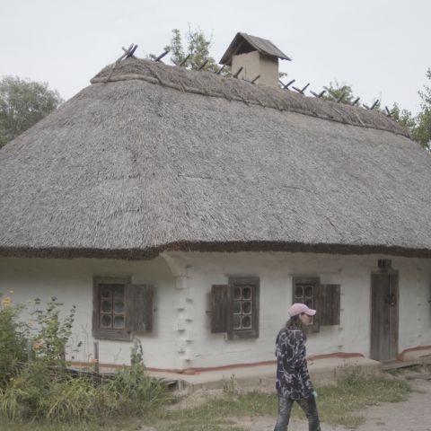 Vernacular Hardcore: сільський арт Богдани Косміної