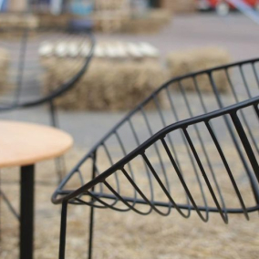 У львівських парках встановлять стільці для сидіння наодинці