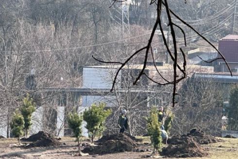 У Соломʼянському ландшафтному парку висадили дерева: фото