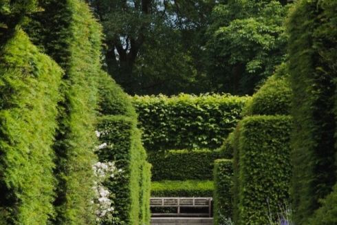 Підозрюють у завищенні цін: у приміщеннях КП "Київзеленбуд" провели обшуки