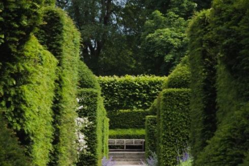 В Голосеевском парке открыли зеленый лабиринт, посвященный переселенцам