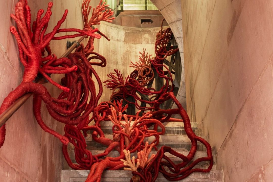 Художниця перетворила Липневу колону в Парижі на артоб’єкт — уперше за 190 років