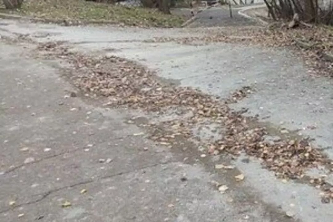 Забудовник усунув наслідки зсуву ґрунту у Солом'янському парку, який стався через будівництво ЖК