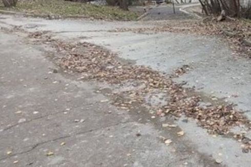 Застройщик устранил последствия оползня в Соломенском парке, который произошел из-за строительства ЖК